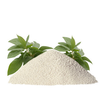 softcat yucca