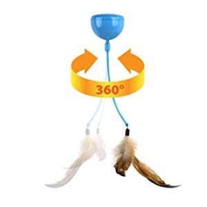 Draait 360 graden rond