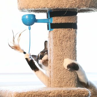 Activeert het speelgedrag van uw kat