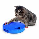 interactief kattenspeeltje